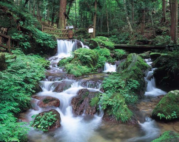 瓜割の滝